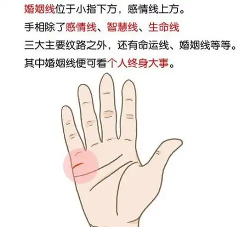 婚姻线预示结婚时间_可以从你的手相婚姻线中看出未来的结婚的时间