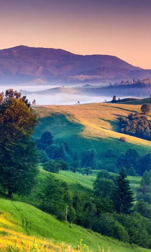 高清自然唯美景色安卓手机壁纸自然风光风景图片大海图片自然风景风景