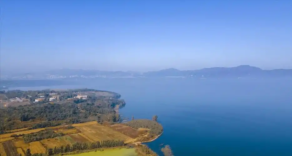 于桥水库金翅鲤鱼在北方是名贵鱼在南方为啥不受欢迎