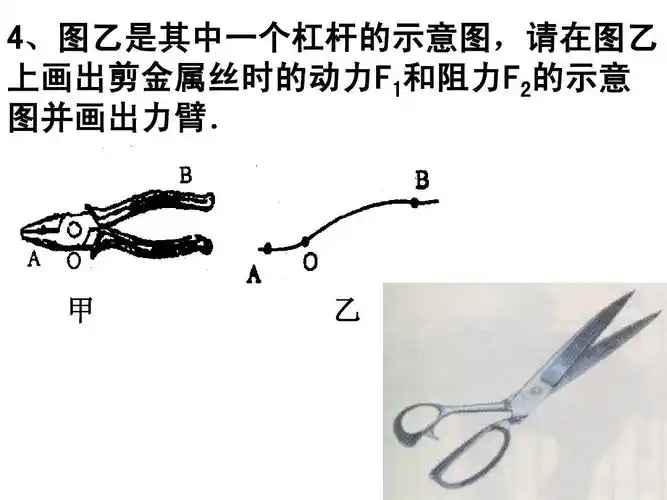 4,图乙是其中一个杠杆的示意图,请在图乙 上画出剪金属丝时的动力f1和