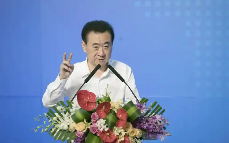 鲁豫有约:对电影毫无兴趣的王健林,每年都会陪母亲看,真孝顺