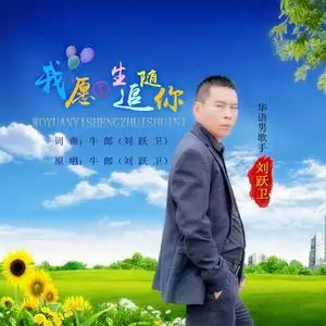 我愿一生追随你伴奏