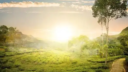 原创诗歌|读睡诗社 配图|网络