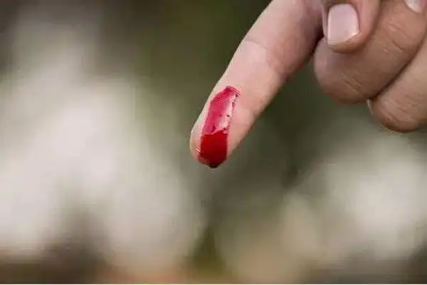 伤口流血为什么会凝固血小板生成凝血酶最小血细胞