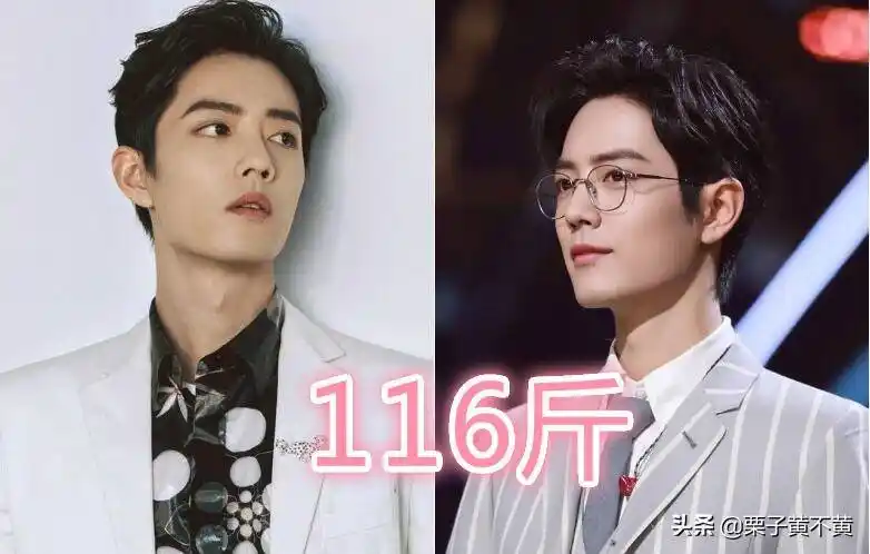 当红男星身高和体重,朱一龙标准,肖战太瘦,李现有点意外_cm_王一博