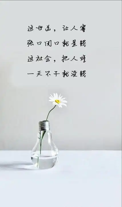 现实的社会虚伪的人心