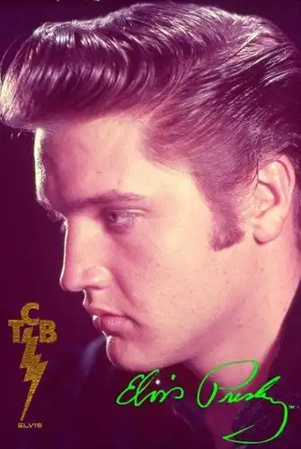 类似猫王的这种耳朵前面的鬓角 是头发?还是胡子?