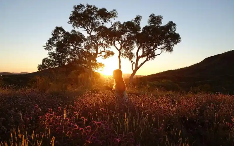田野日落逆光美女摄影壁纸