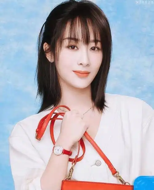 给杨紫以一片紫海吧