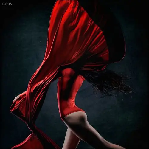 人体的曲线美 vadim stein的人体摄影_人像类_佳作欣赏_影像学苑_迪派