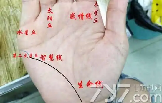 胳膊长痣的位置与命运_长脸女人_人胳膊痣_风水图片_吉达阁