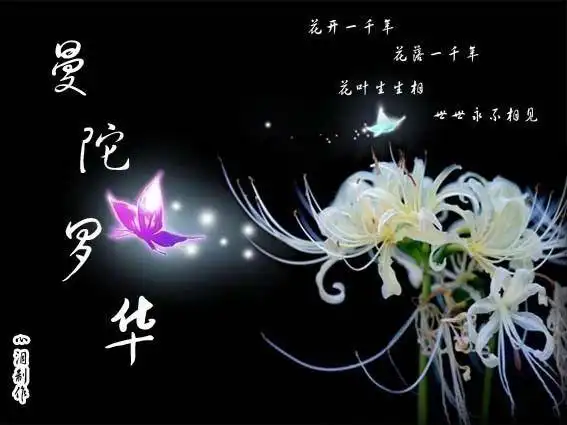 可是佛不知道,他在忘川河上,被河水褪色的花把所有的红色滴在了河水里