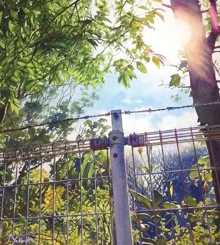 日本画家takumiyokooka清新治愈的静谧水彩风景画作品