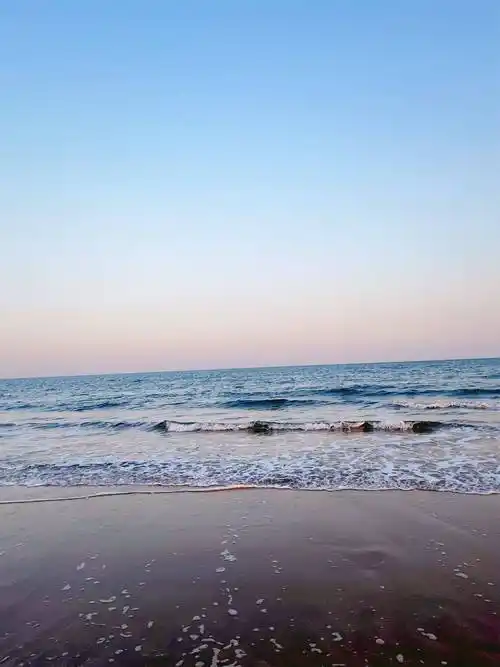 风景区166海水浴场:日照海水浴场,日照的海水浴场是日照海边主要