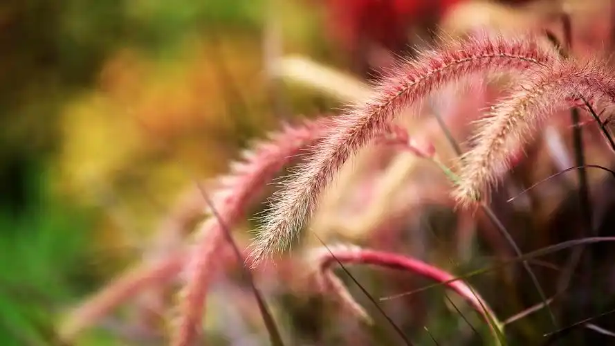 原图欣赏-太平洋摄影部落