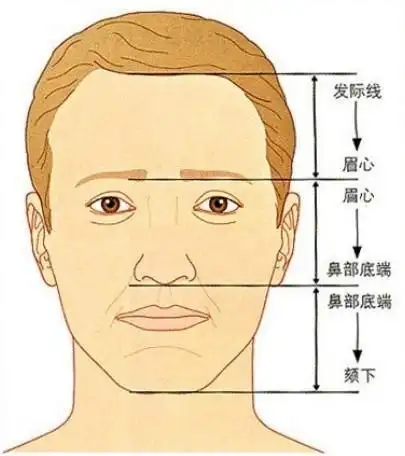 男生发际线正常标准图男生发际线正常标准位置图片