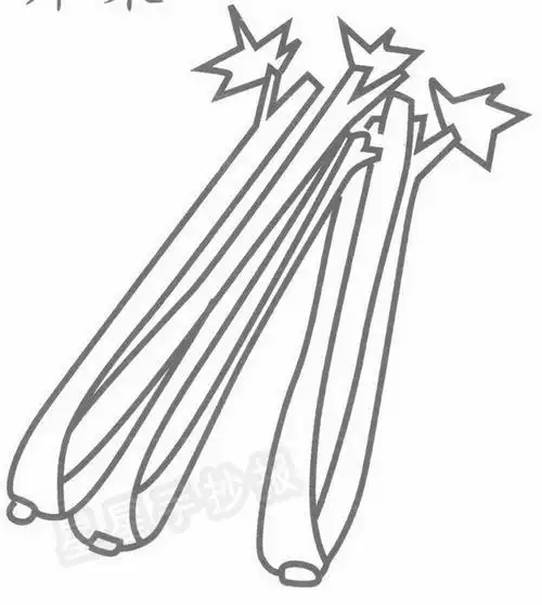 炒芹菜的简笔画