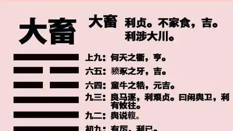 易经大畜卦刚上而尚贤能止健大正也