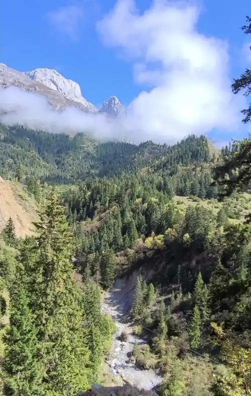 措美峰位于甘肃省迭部县,是秦岭最高峰,海拔4920米.