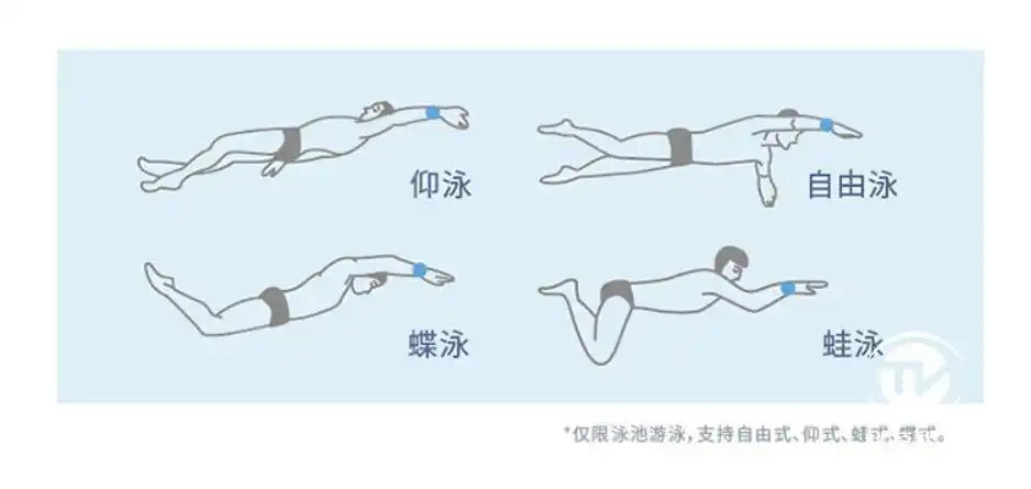 引领时尚运动新潮流佳明swim2gps智能游泳腕表抢先体验