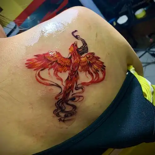 火凤凰_纹身吧社区 - 纹身大咖