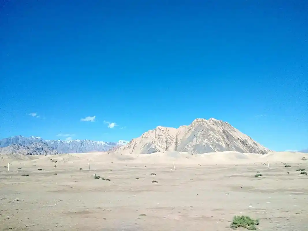 这里是柴达木盆地的中南部.苍茫戈壁,零星的旱生植物(复活草) - 抖音
