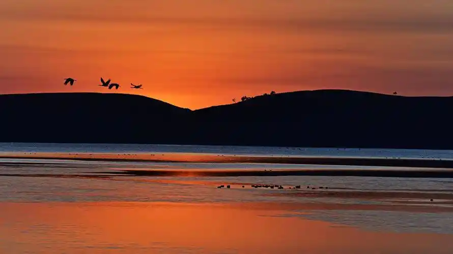 一首淡雅清新的小诗,神韵悠长,广被流传,充满惊喜和感叹_张祜_金陵