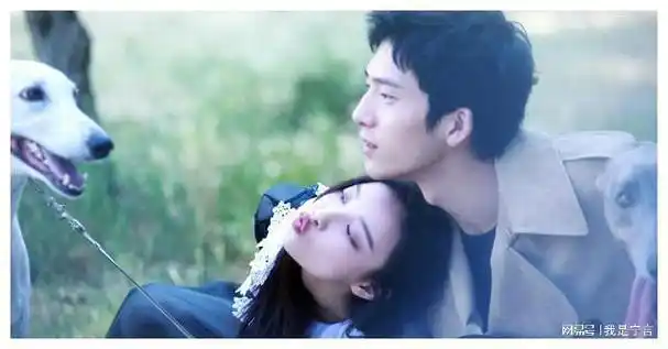 分手6年后,如今再看井柏然,才发现他和倪妮走的不是"一条路"