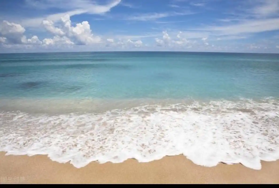 美丽的大海图片