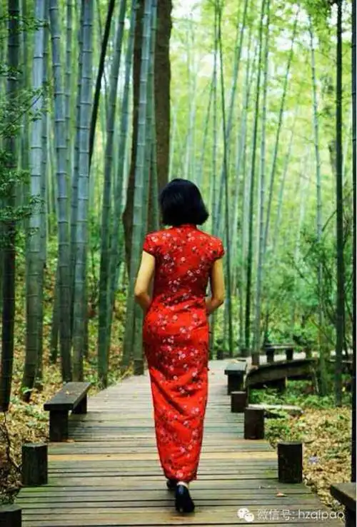 背影,是一道亮丽的风景线;茫茫人海中,不同的背影,都是一个个富有个性