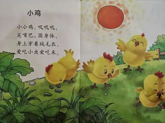 其它 快乐小一班 写美篇新学儿歌《小鸡》 小小鸡,叽叽叽, 尖嘴巴,圆