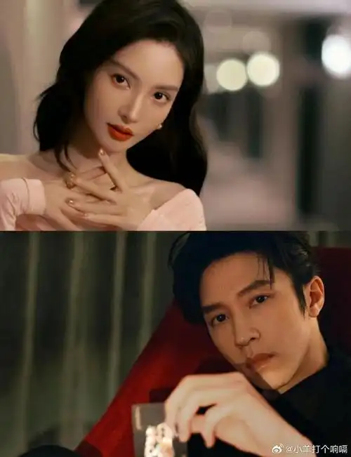 孙阳 电影《真心骗徒》即将开机  金晨 孙阳继《孤注一郑》 后 再合作