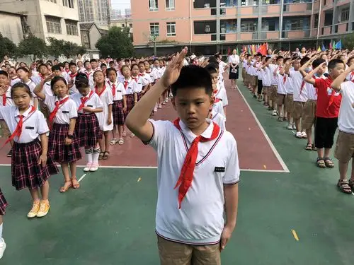 认真敬礼的学生.