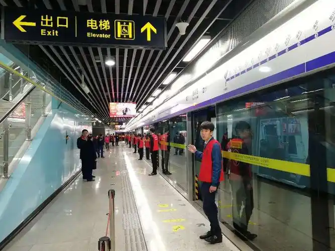 各类花海刷屏朋友圈 青岛成国内热门赏花游目的地