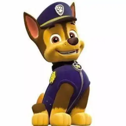 盼望着,盼望着,《汪汪队立大功》舞台剧终于来闵行啦!