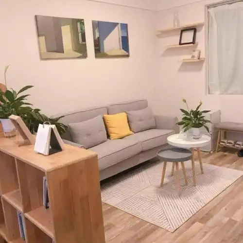 南山中心地铁口 40平米一室一厅整租,2500转租