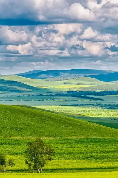 852_1280竖版 竖屏