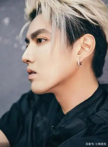 吴亦凡二次元造型画报|黑t马甲搭配工装裤造造型