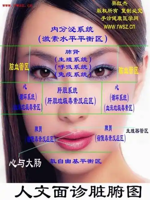 神医图书馆318 馆藏分类男女 面相彩图                      面部与