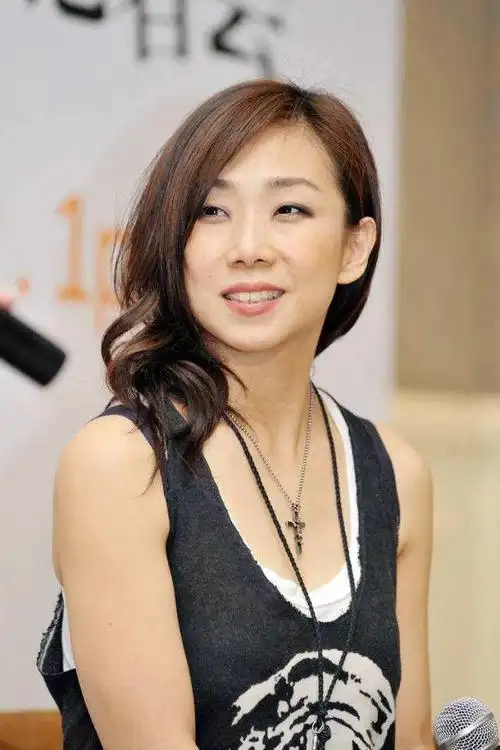 《爱上一个不回家的人》林忆莲