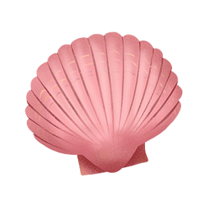【扇贝粉色】图片免费下载_扇贝粉色素材_扇贝粉色模板-千图网