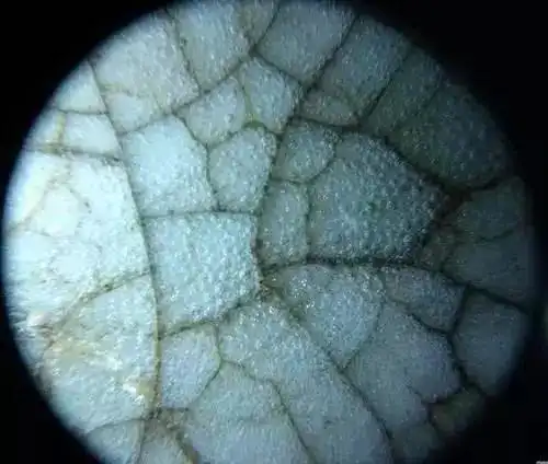 宋汝窑瓷器气泡