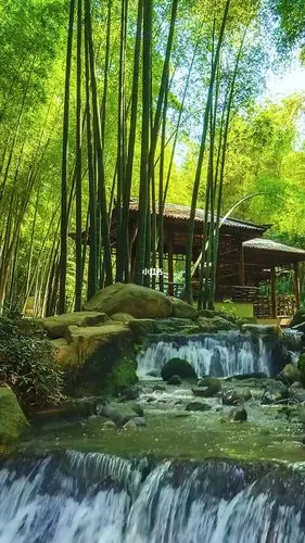 伴山伴水伴竹林人生几何多忧愁