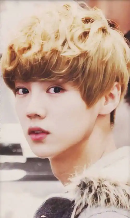 至于鼻子,更是鹿晗面部的一大亮点.