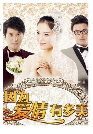 正版电视剧 因为爱情有多美14dvd 珍藏版 赵韩樱子 彭冠英