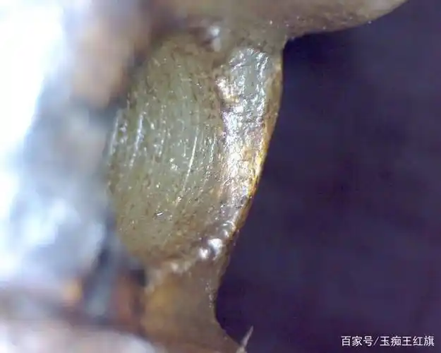 古玉鉴赏|春秋卷云纹玉虎