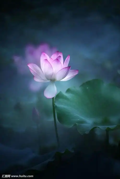 禅意古风意境静