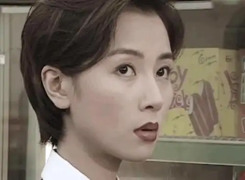 香港90年代短发造型,袁洁莹帅气,陈法蓉冷傲,周海媚杀气腾腾