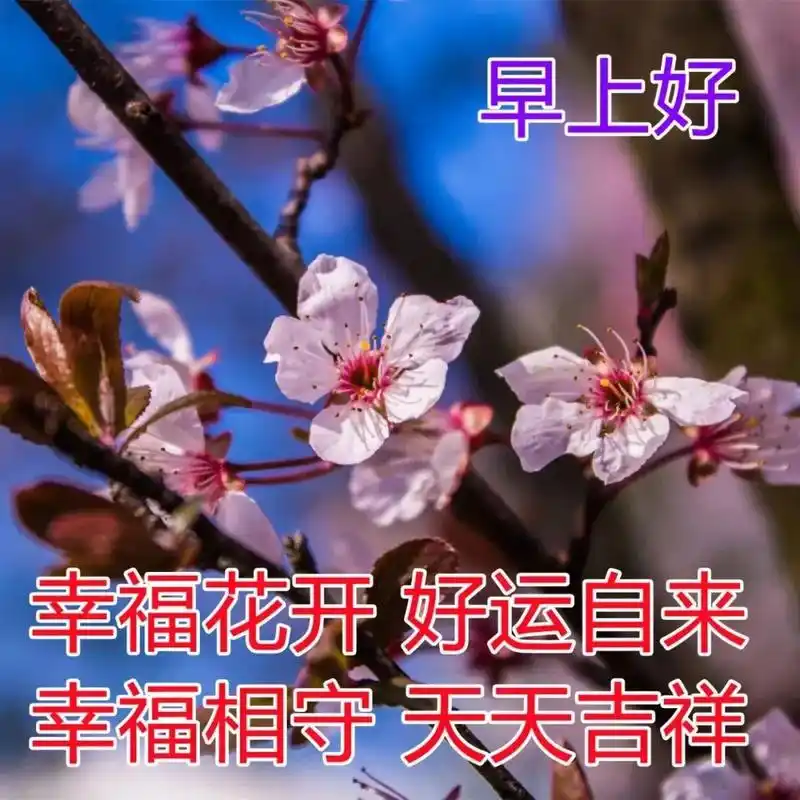 暖心早上好问候早上好祝福图片表情 微信漂亮的早安图片大全