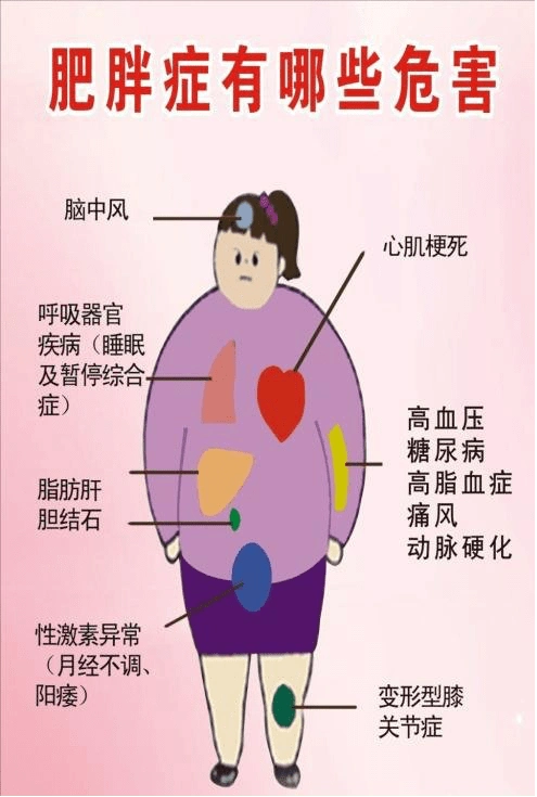 省二院老年科专家说老年人枣核型身材或埋藏健康隐患需警惕